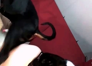 Stunning animality XXX with two sexy dogs