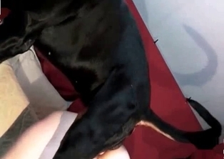 Stunning animality XXX with two sexy dogs