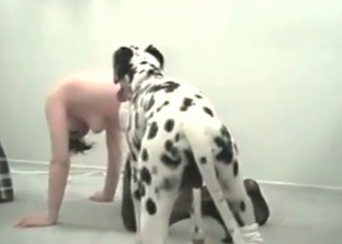 Doggy really likes bestiality oral sex
