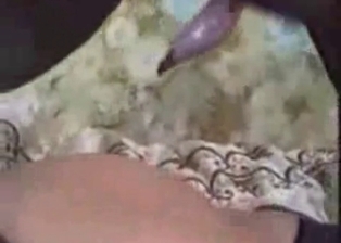 Bestial sex in the bed with a hot animal