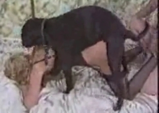 Bestial sex in the bed with a hot animal