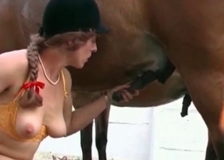 Dirty jockey and a stallion