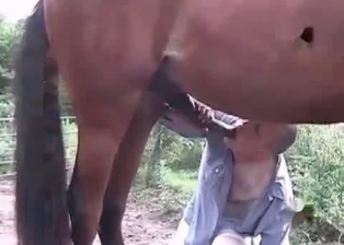 Brown mare and a sexy as fuck female