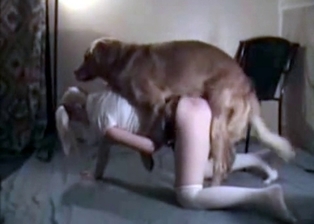 Slender blonde and pet like bestiality sex