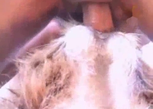 Small hairy doggy got nailed from behind