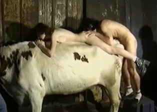 White pony got nicely drilled from behind