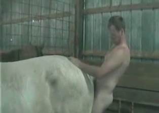 This farm is the real deal for every kinky zoophiliac