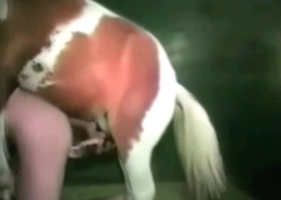 Doggy style pose sex with a gorgeous stallion