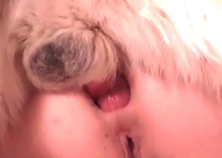 Anal fucking for a slutty dog and a really horny girl