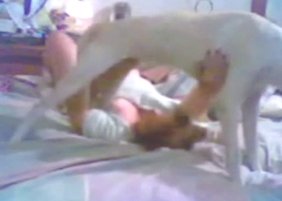 Dog blowjob from a very sly, seductive zoophile