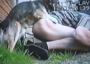 Slutty guy taking a dog's dick from behind deep