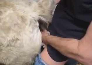 Mare fucking scene with deliberate, sexy thrusts