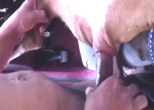 Dude chooses to fuck his bitch up in POV (cowgirl)