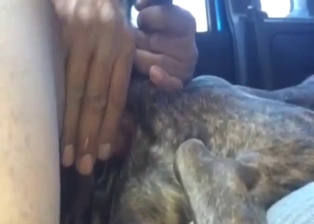 Deranged zoo porn with a small, frail, sexy beast