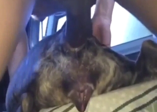 Mad zoo sex with anal and legit cumshot orgasms