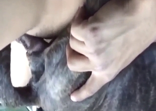 Black dog is now his GF in this zoo porn movie