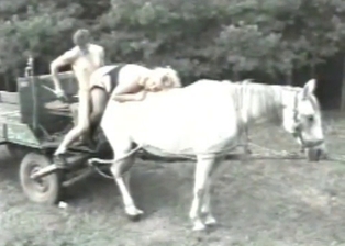 Horse and couple in bestiality movie