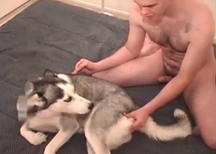 Anal sex with a very cute doggy