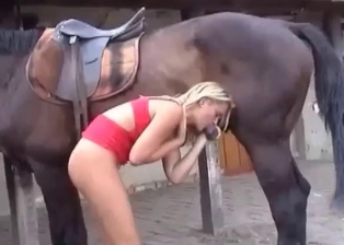 Animal and blonde in filthy bestiality porn