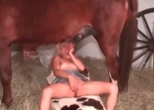 Stallion drills a blonde slut in her tight twat