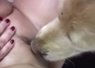 Sexy puppy and blonde love bestiality