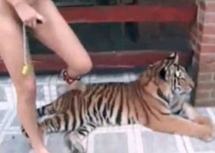 Slender mademoiselle and a tiger