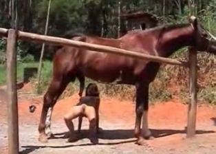 Outdoor bestiality sex with a stallion