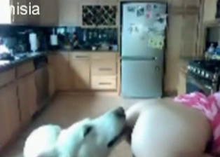 Zoophilic hussy is owned in that puss by doggie