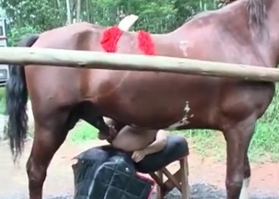 Tight anal nicely drilled by hot pony
