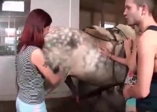 Sexy bitch sucks her stallion with passion